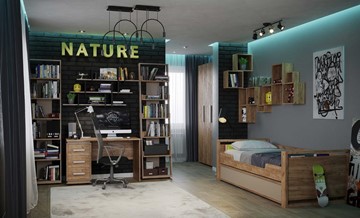 Комната для мальчика Nature в Новосибирске