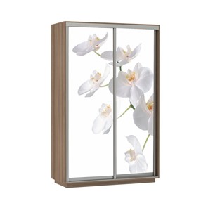 Шкаф 2-дверный Экспресс 1400x600x2200, Орхидея белая/шимо темный в Новосибирске - предосмотр