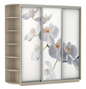 Шкаф Экспресс со стеллажом, 2700х600х2400, Орхидея белая/шимо светлый в Новосибирске