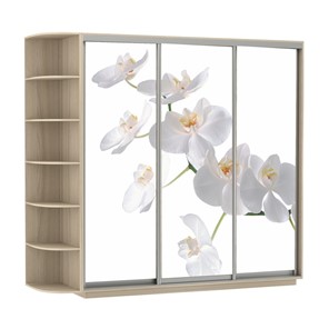 Шкаф 3-створчатый Экспресс со стеллажом, 2100х600х2200, Орхидея белая/шимо светлый в Новосибирске - предосмотр