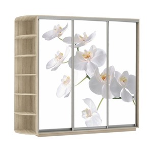 Шкаф 3-дверный Экспресс со стеллажом, 2100х600х2400, Орхидея белая/дуб сонома в Новосибирске