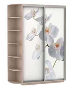 Шкаф 2-створчатый Хит, 1500x600x2200, фотопечать, со стеллажом, белая орхидея, дуб молочный в Новосибирске