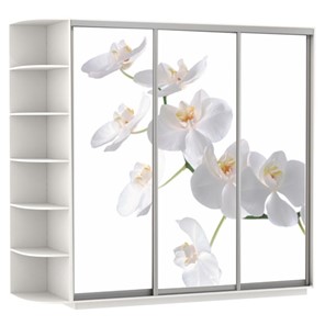 Шкаф 3-дверный Экспресс со стеллажом, 2400х600х2200, Орхидея белая/белый снег в Новосибирске - предосмотр