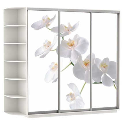 Шкаф 3-дверный Экспресс со стеллажом, 2400х600х2200, Орхидея белая/белый снег в Новосибирске - изображение