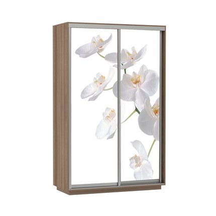 Шкаф 2-створчатый Экспресс 1600x600x2400, Орхидея белая/шимо темный в Новосибирске - изображение