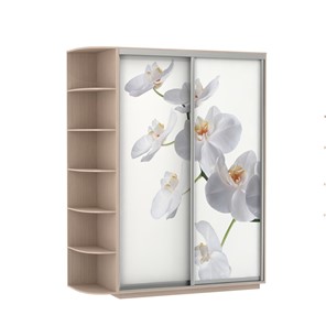 Шкаф 2-х створчатый Экспресс 1900x600x2200, со стеллажом, Орхидея белая/дуб молочный в Новосибирске - предосмотр