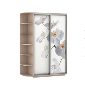 Шкаф 2-створчатый Экспресс 1700x600x2200, со стеллажом, Орхидея белая/дуб молочный в Новосибирске