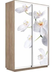 Шкаф 2-дверный Экспресс 1200x450x2200, Орхидея белая/дуб сонома в Новосибирске