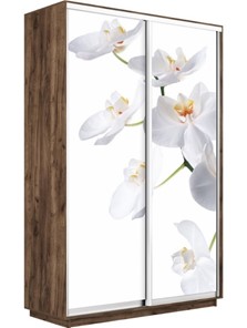 Шкаф 2-створчатый Экспресс 1200x450x2200, Орхидея белая/дуб табачный в Новосибирске - предосмотр