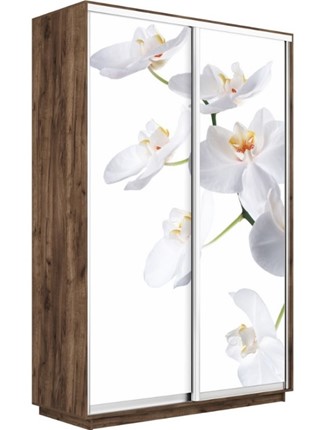 Шкаф 2-створчатый Экспресс 1200x450x2200, Орхидея белая/дуб табачный в Новосибирске - изображение