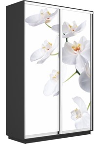 Шкаф 2-х створчатый Экспресс 1200x450x2200, Орхидея белая/серый диамант в Новосибирске