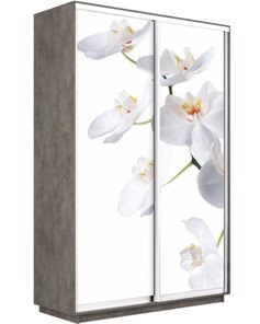 Шкаф 2-створчатый Экспресс 1200x450x2400, Орхидея белая/бетон в Новосибирске - предосмотр
