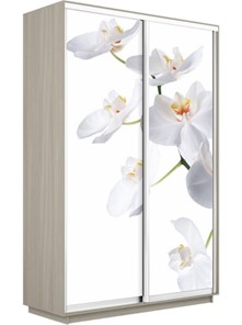 Шкаф 2-х дверный Экспресс 1200x450x2400, Орхидея белая/шимо светлый в Новосибирске