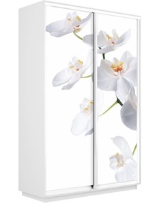 Шкаф 2-х дверный Экспресс 1200x600x2200, Орхидея белая/белый снег в Новосибирске - предосмотр