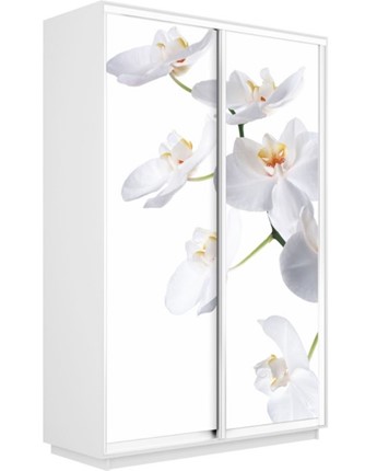 Шкаф 2-х дверный Экспресс 1200x600x2200, Орхидея белая/белый снег в Новосибирске - изображение