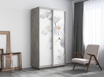 Шкаф 2-дверный Экспресс 1600x600x2400, Орхидея белая/бетон в Новосибирске - предосмотр 3