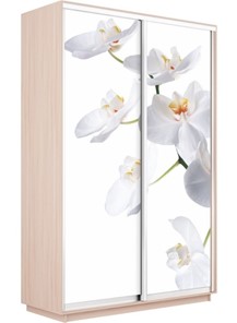 Шкаф Экспресс 1200x600x2200, Орхидея белая/дуб молочный в Новосибирске - предосмотр