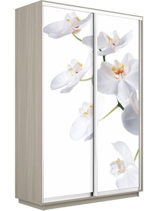 Шкаф Экспресс 1200x600x2200, Орхидея белая/шимо светлый в Новосибирске - изображение