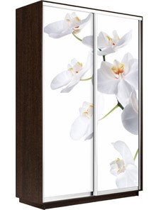 Шкаф Экспресс 1400x600x2400, Орхидея белая/венге в Новосибирске - предосмотр