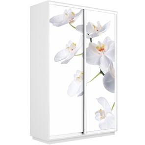 Шкаф 2-х створчатый Экспресс 1600x450x2400, Орхидея белая/белый снег в Новосибирске - предосмотр