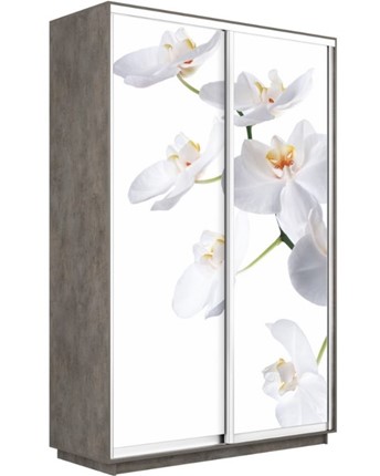 Шкаф 2-дверный Экспресс 1600x600x2400, Орхидея белая/бетон в Новосибирске - изображение