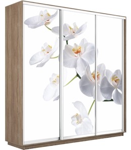 Шкаф 3-дверный Экспресс 1800х450х2200, Орхидея белая/дуб сонома в Новосибирске - предосмотр