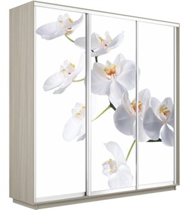 Шкаф 3-х створчатый Экспресс 1800х450х2200, Орхидея белая/шимо светлый в Новосибирске