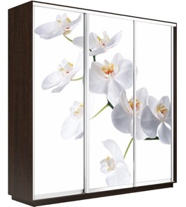 Шкаф 3-створчатый Экспресс 1800х450х2200, Орхидея белая/венге в Новосибирске - предосмотр