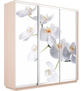 Шкаф 3-х створчатый Экспресс 1800х600х2200, Орхидея белая/дуб молочный в Новосибирске