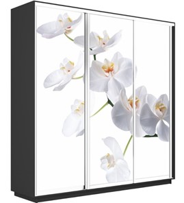 Шкаф 3-х створчатый Экспресс 1800х600х2200, Орхидея белая/серый диамант в Новосибирске - предосмотр