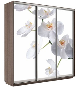 Шкаф 3-створчатый Экспресс 1800х600х2400, Орхидея белая/шимо темный в Новосибирске - предосмотр