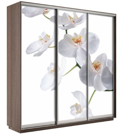 Шкаф 3-створчатый Экспресс 1800х600х2400, Орхидея белая/шимо темный в Новосибирске - изображение