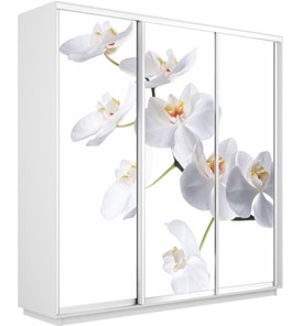 Шкаф 3-створчатый Экспресс 2100х450х2400, Орхидея белая/белый снег в Новосибирске - предосмотр