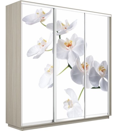 Шкаф трехдверный Экспресс 2100х600х2200, Орхидея белая/шимо светлый в Новосибирске - изображение