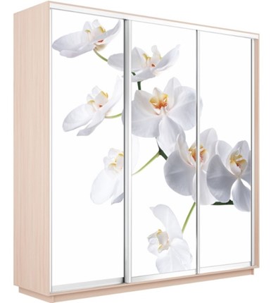 Шкаф 3-дверный Экспресс 2400х600х2400, Орхидея белая/дуб молочный в Новосибирске - изображение