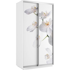 Шкаф 2-дверный Хит 1200x600x2200, белая орхидея, белый снег в Новосибирске