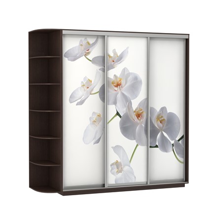 Шкаф 3-дверный Экспресс со стеллажом, 2700х600х2400, Орхидея белая/венге в Новосибирске - изображение