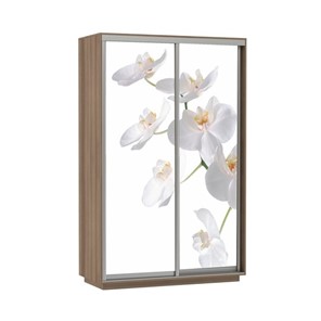 Шкаф 2-створчатый Экспресс 1600x600x2200, Орхидея белая/шимо темный в Новосибирске