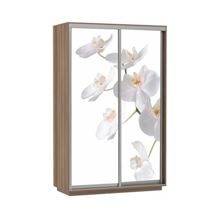 Шкаф 2-створчатый Экспресс 1600x600x2200, Орхидея белая/шимо темный в Новосибирске - изображение