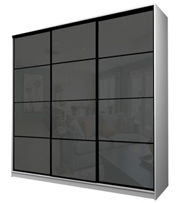 Шкаф MAX МШ-25-6-24-222, Профиль Черный/Цвет Белый/Oraclal Темно-серый в Новосибирске