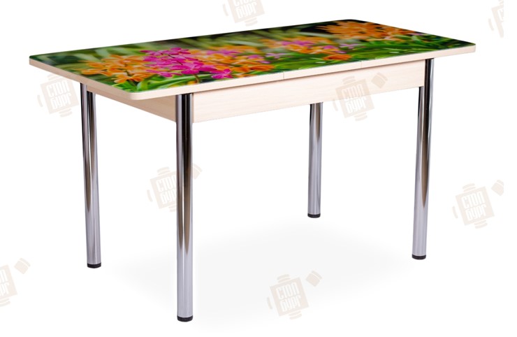 Кухонный стол раскладной Айсберг-02 СТФ, Дуб ЛДСП/полевые цветы/ноги хром прямые в Новосибирске - изображение 2