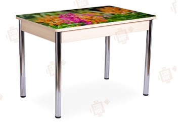Кухонный стол раскладной Айсберг-02 СТФ, Дуб ЛДСП/полевые цветы/ноги хром прямые в Новосибирске - предосмотр