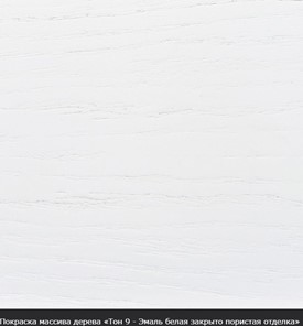 Стол раздвижной Фабрицио-1 исп. Эллипс, Тон 7 Покраска + патина с прорисовкой (на столешнице) в Новосибирске - предосмотр 16