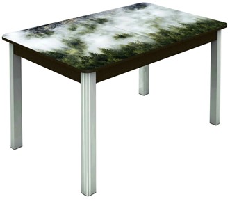Обеденный раздвижной стол Гамбург исп. 1, ноги метал. крашеные №23 (Exclusive h010/венге) в Новосибирске