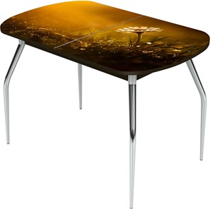 Раздвижной стол Ривьера исп.1 ноги метал. крашеные №24 Фотопечать (Цветы №43) в Новосибирске