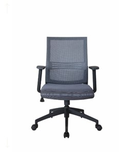 Кресло офисное Riva Chair 668, Цвет серый в Новосибирске - предосмотр 1