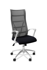 Офисное кресло для руководителя Топ X белый каркас, сетка/ткань TW / серая/черная в Новосибирске