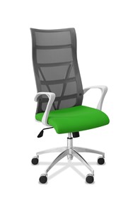 Офисное кресло для руководителя Топ X белый каркас, сетка/ткань TW / серая/салатовая в Новосибирске - предосмотр