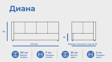 Диван-кровать 1-спальная Диана 80х200 с подъемным механизмом в Новосибирске - предосмотр 2