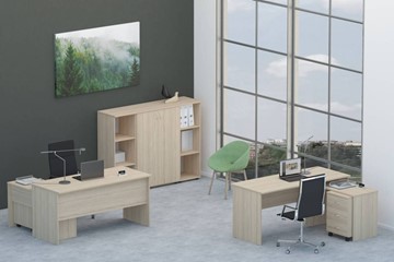 Набор мебели в офис Twin для 2 сотрудников со шкафом для документов в Новосибирске - предосмотр
